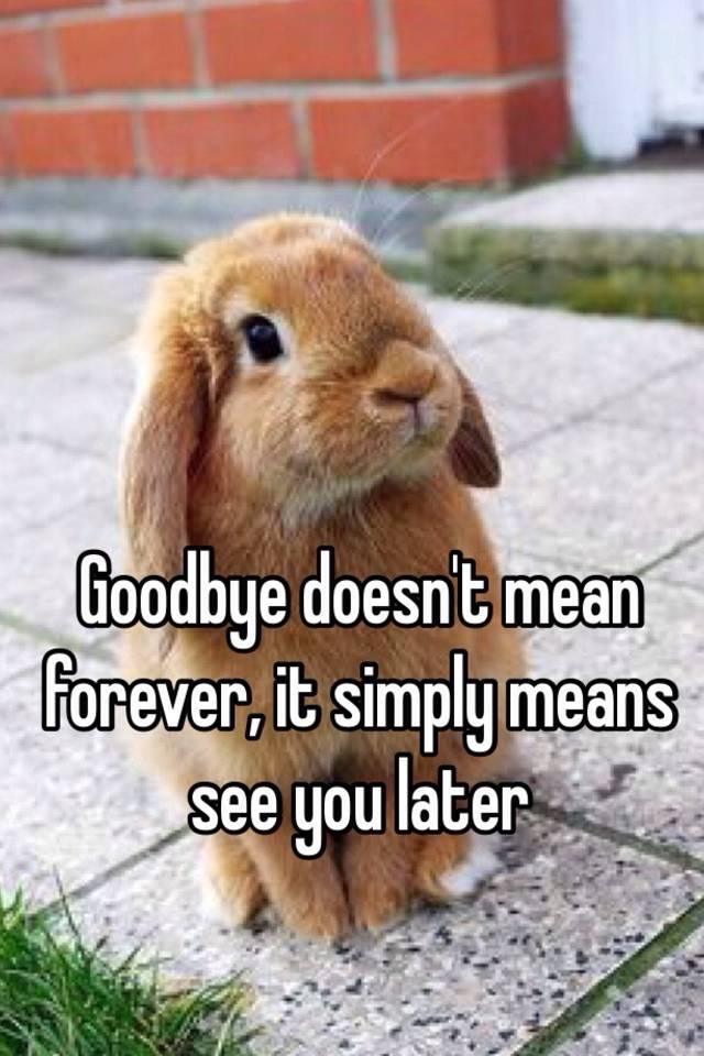 goodbye-doesn-t-mean-forever-it-simply-means-see-you-later