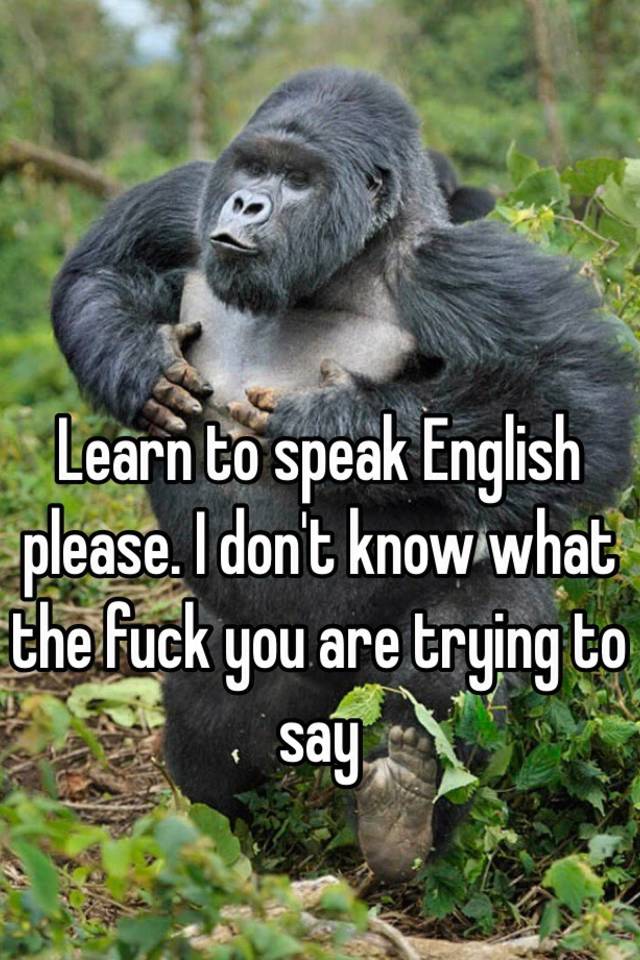 Learn To Speak English Please I Don T Know What The Fuck You Are Trying To Say