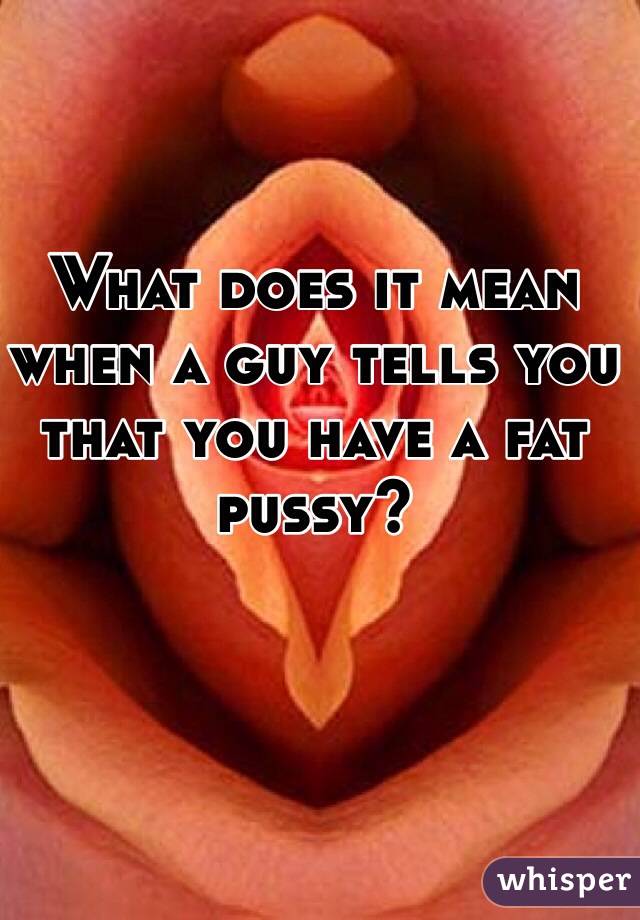 Whats a fat pussy
