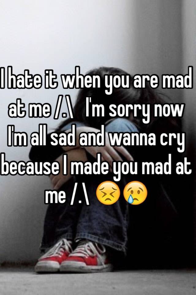 i-hate-it-when-you-are-mad-at-me-i-m-sorry-now-i-m-all-sad-and