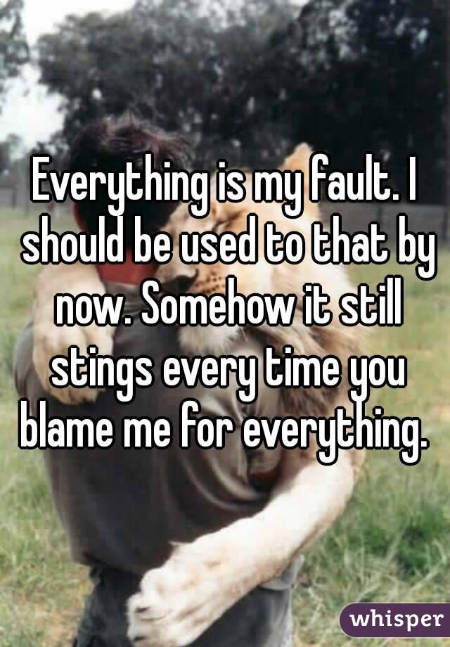 everything-is-my-fault-i-should-be-used-to-that-by-now-somehow-it