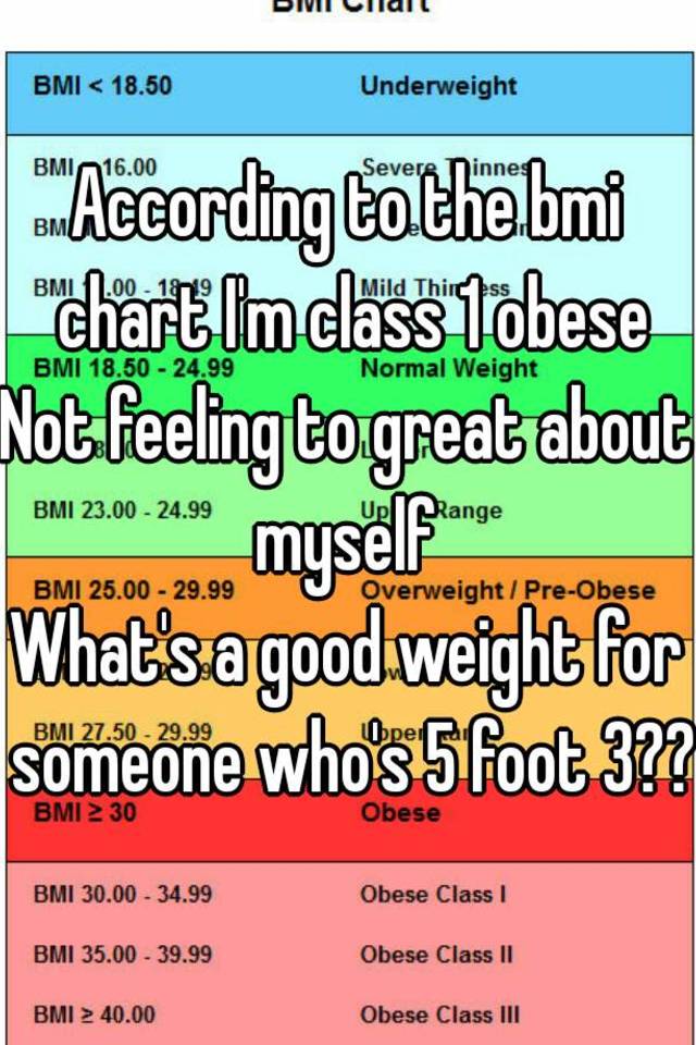 Bmi Class Chart