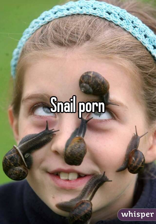 Snail Porn - Snail porn