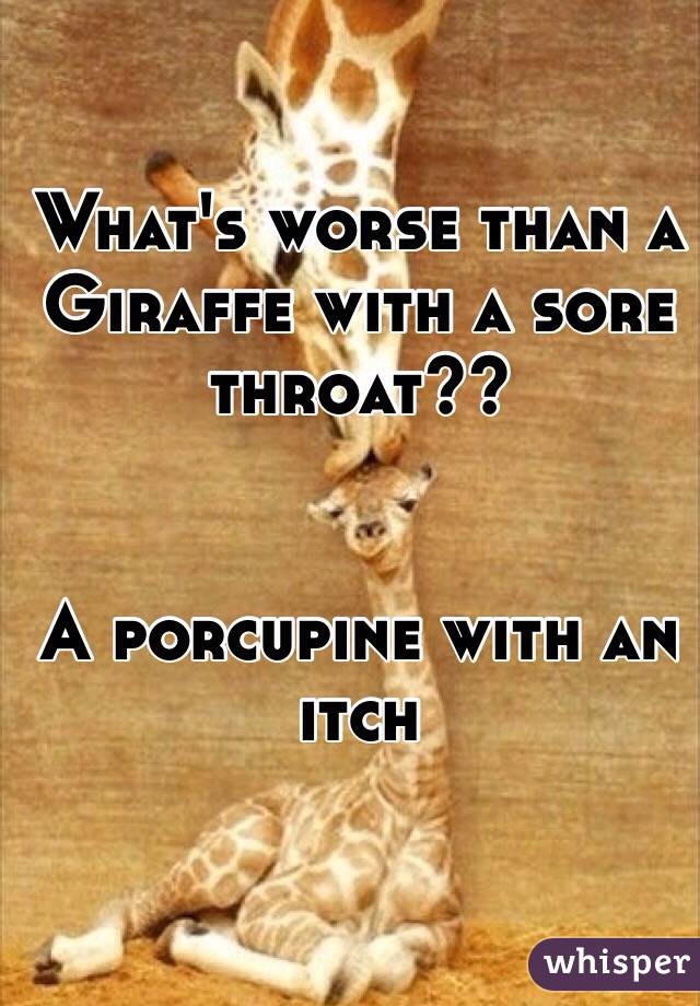 What S Worse Than A Giraffe With A Sore Throat A Porcupine With An Itch