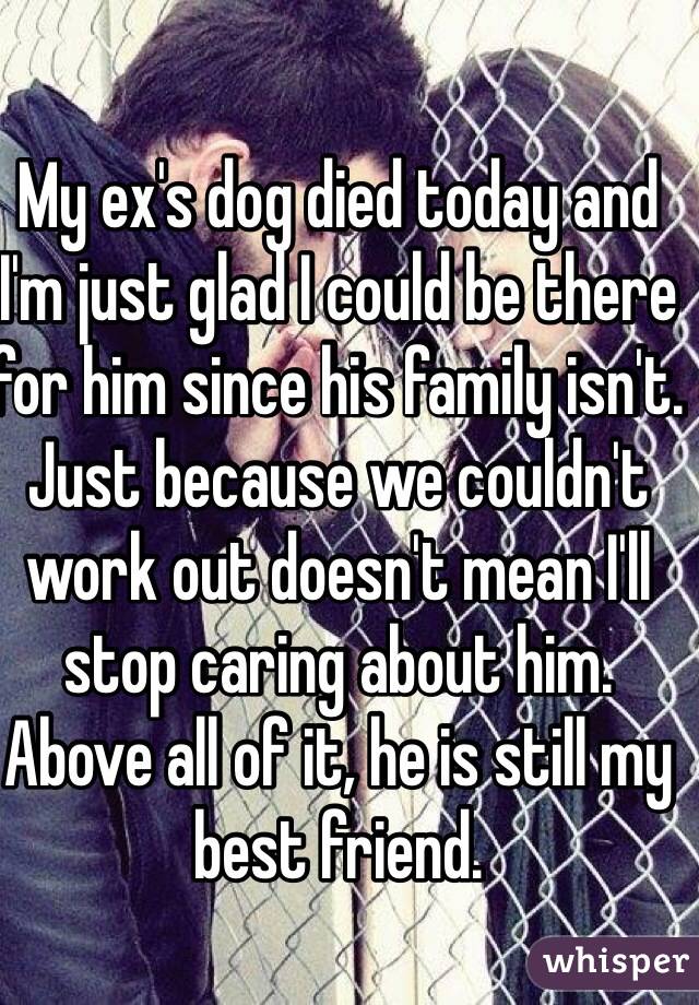 My Ex S Dog Died Today And I M Just Glad I Could Be There For Him