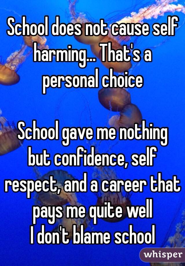 School does not cause self harming... That's a personal choice 

School gave me nothing but confidence, self respect, and a career that pays me quite well
I don't blame school