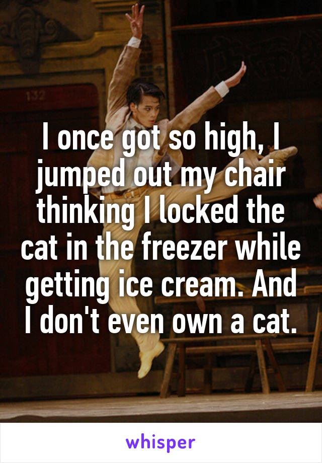 I once got so high, I jumped out my chair thinking I locked the cat in the freezer while getting ice cream. And I don't even own a cat.