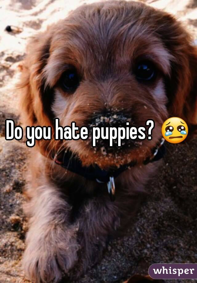 Image result for hate puppies