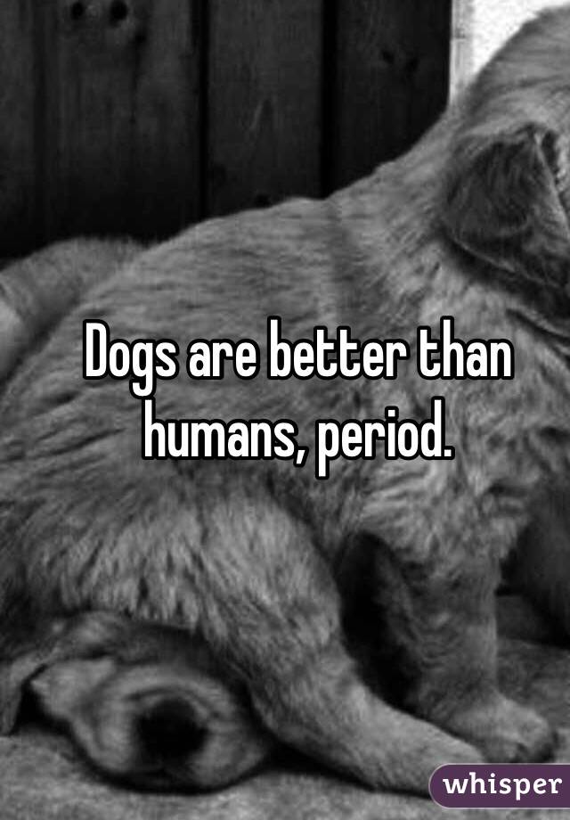 dogs are better than humans