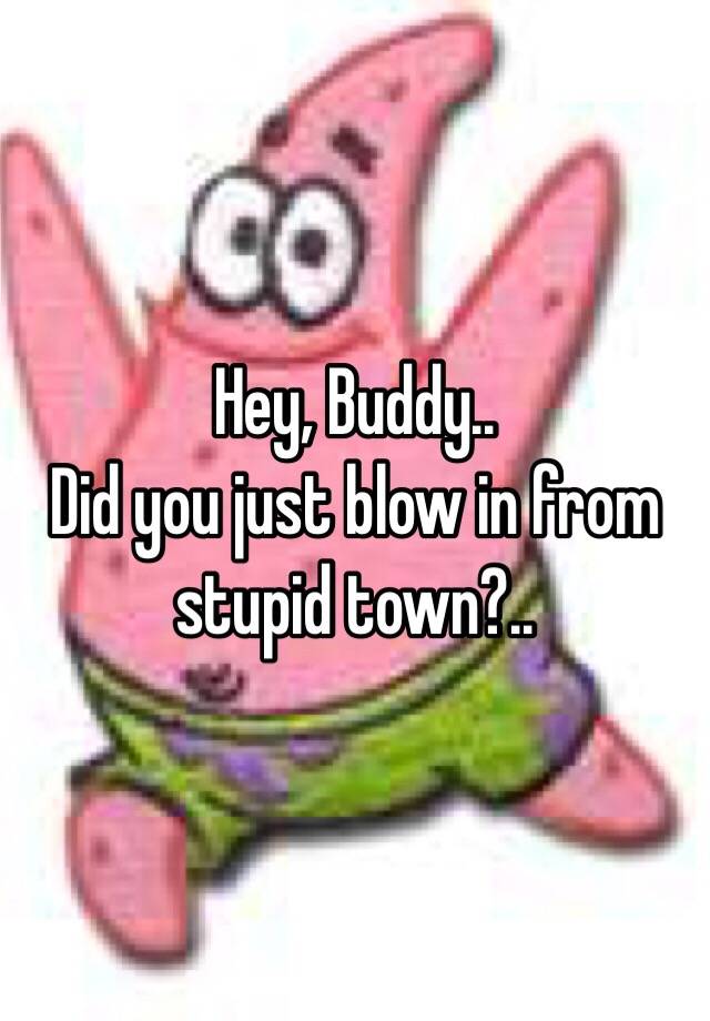 Hey Buddy Did You Just Blow In From Stupid Town