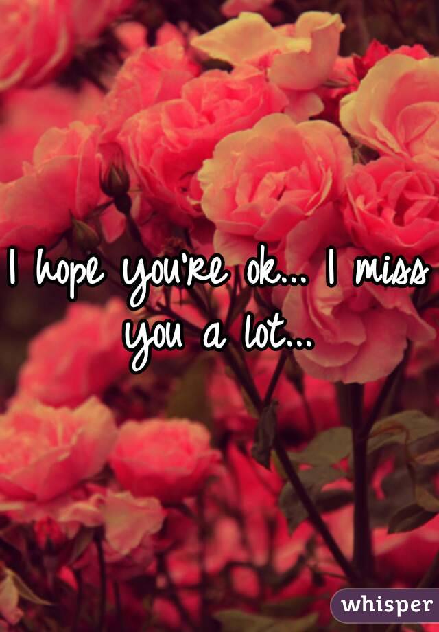 i-hope-you-re-ok-i-miss-you-a-lot