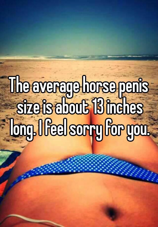 Average horse cock size