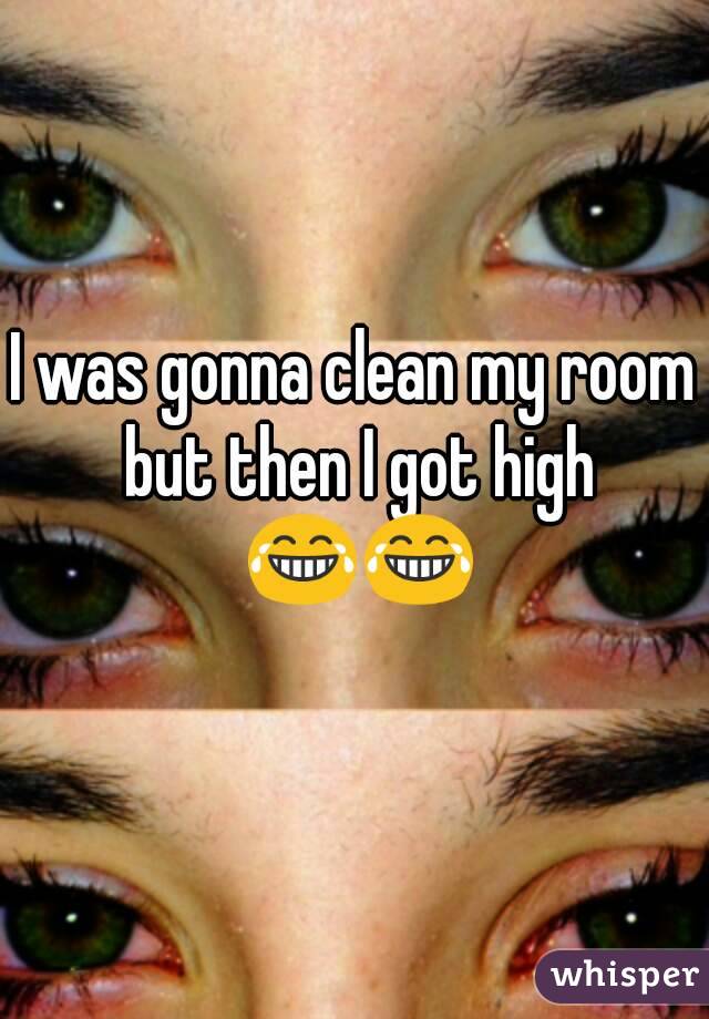 I Was Gonna Clean My Room But Then I Got High