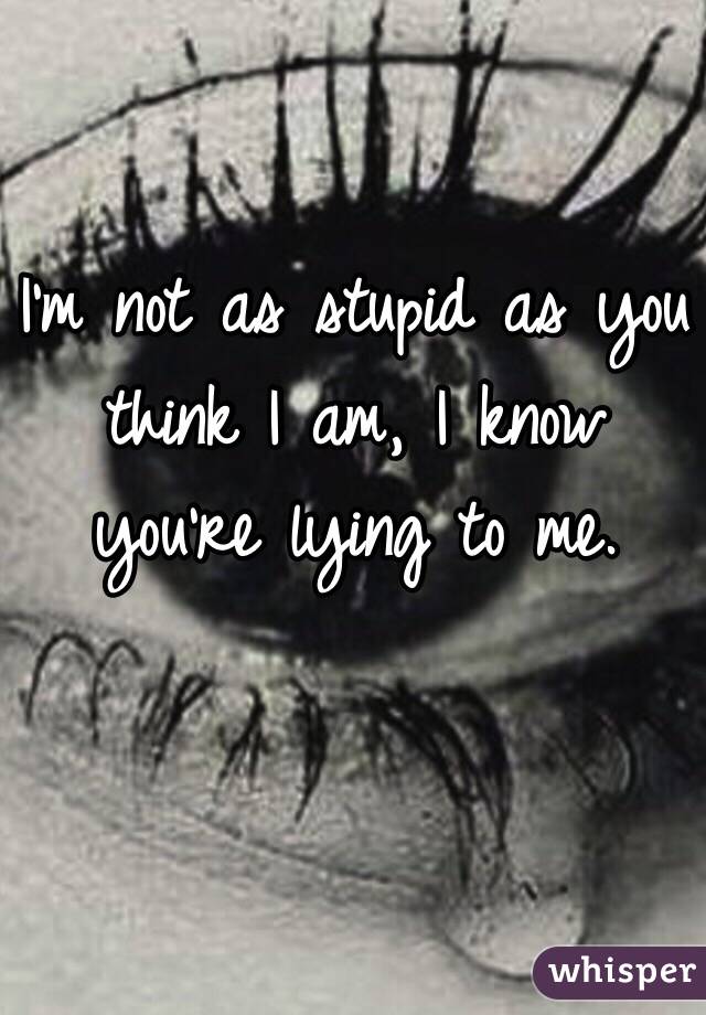 I M Not As Stupid As You Think I Am I Know You Re Lying To Me