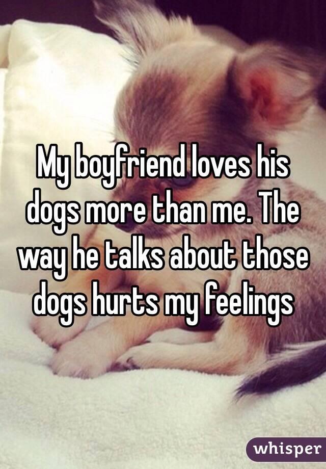 My Boyfriend Loves His Dogs More Than Me The Way He Talks About Those Dogs Hurts