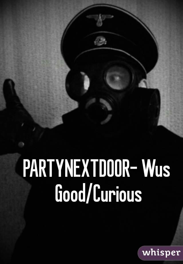 Partynextdoor Wus Good Curious