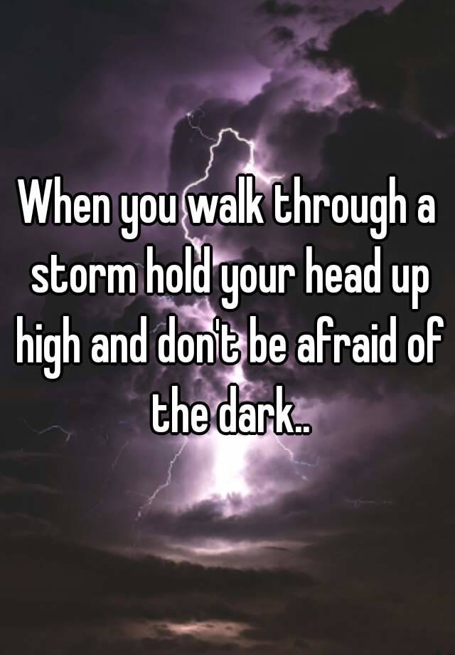 when-you-walk-through-a-storm-hold-your-head-up-high-and-don-t-be