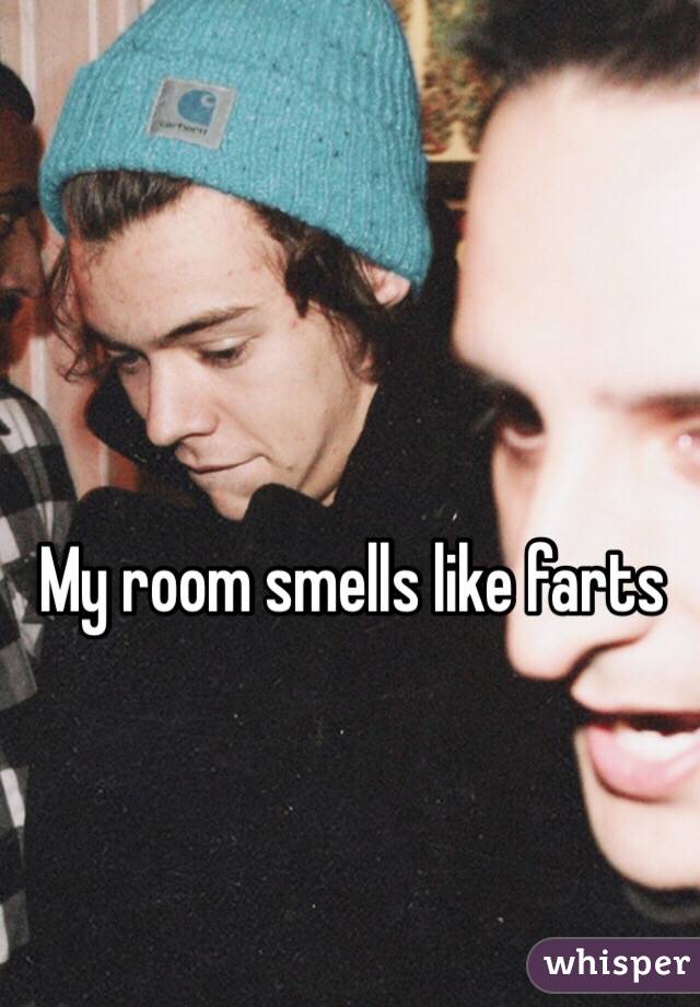 My Room Smells Like Farts