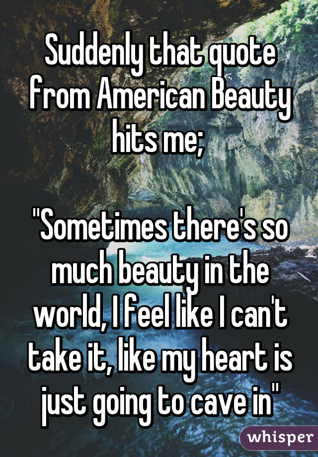 Suddenly That Quote From American Beauty Hits Me Sometimes There S So Much Beauty In The World