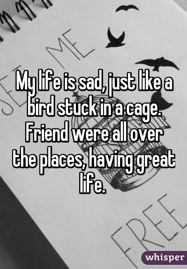 life like a bird