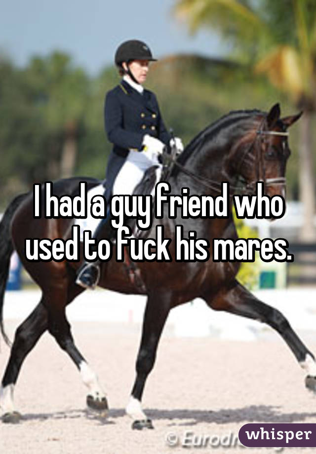 I had a guy friend who used to fuck his mares.