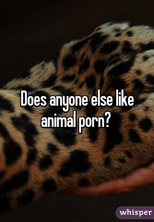Wildlife Porn - Does anyone else like animal porn?