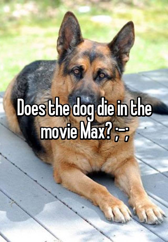 Does the dog die in the movie Max?