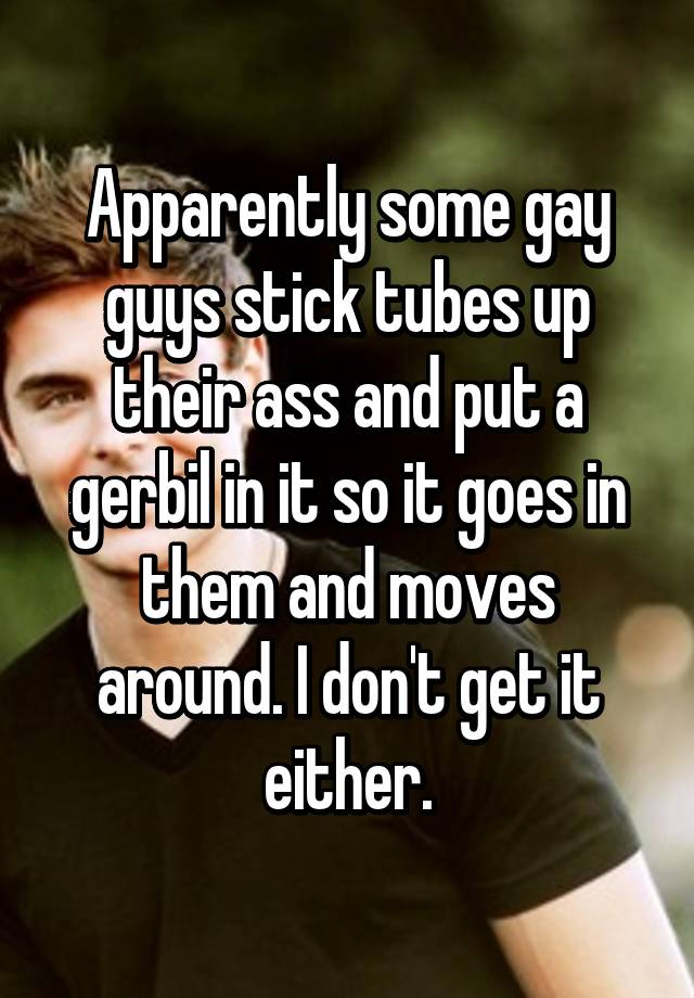 640px x 920px - Gay guys stick gerbil in ass - Gay - Porn photos