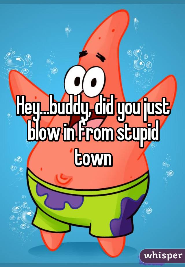 Hey Buddy Did You Just Blow In From Stupid Town