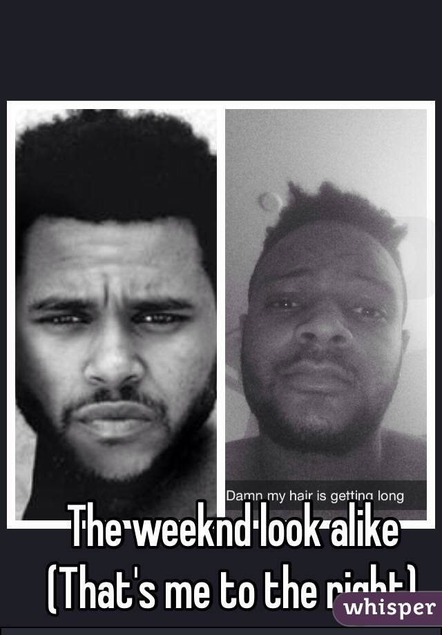 Download e-book The weeknd look alike Free