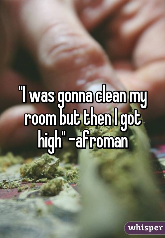 I Was Gonna Clean My Room But Then I Got High Afroman