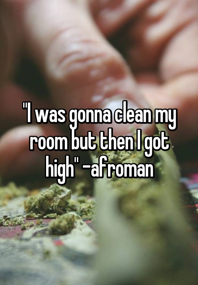 I Was Gonna Clean My Room But Then I Got High Afroman