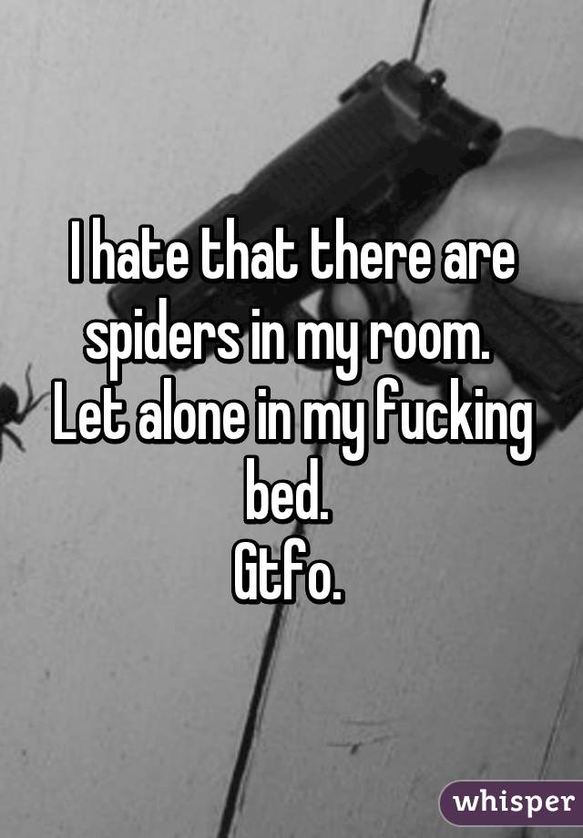I Hate That There Are Spiders In My Room Let Alone In My