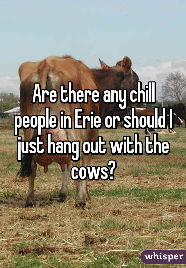 Are there any chill people in Erie or should I just hang out with the cows?