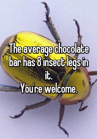 The Average Chocolate Bar Has 8 Insect Legs In It You Re Welcome