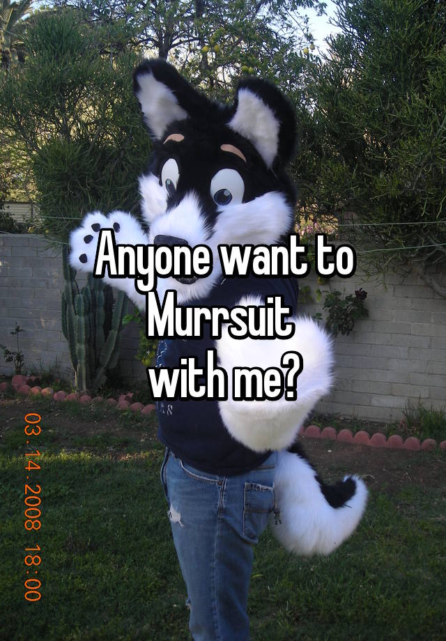 Murrsuits