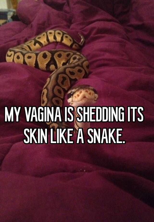 In my vagina snake Girl Insert