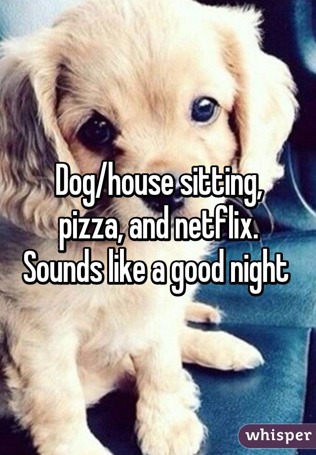 dog house netflix