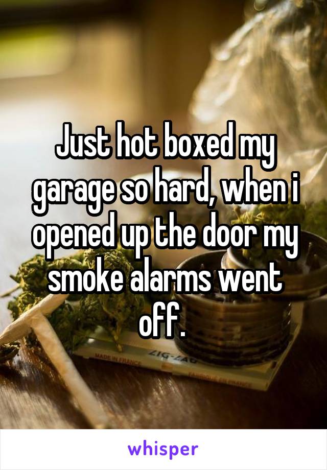 Just hot boxed my garage so hard, when i opened up the door my smoke alarms went off. 