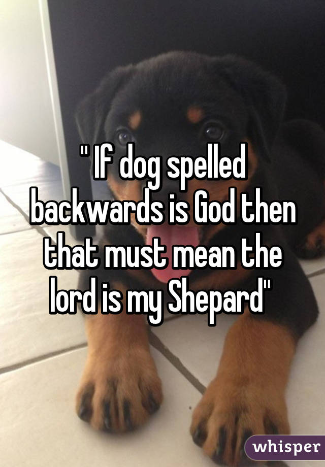 If Dog Spelled Backwards Is God Then That Must Mean The Lord Is My Shepard