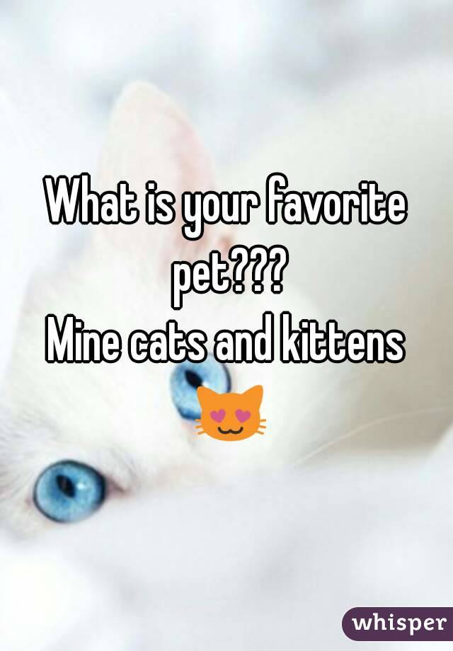 What is your favorite pet???
Mine cats and kittens 😻