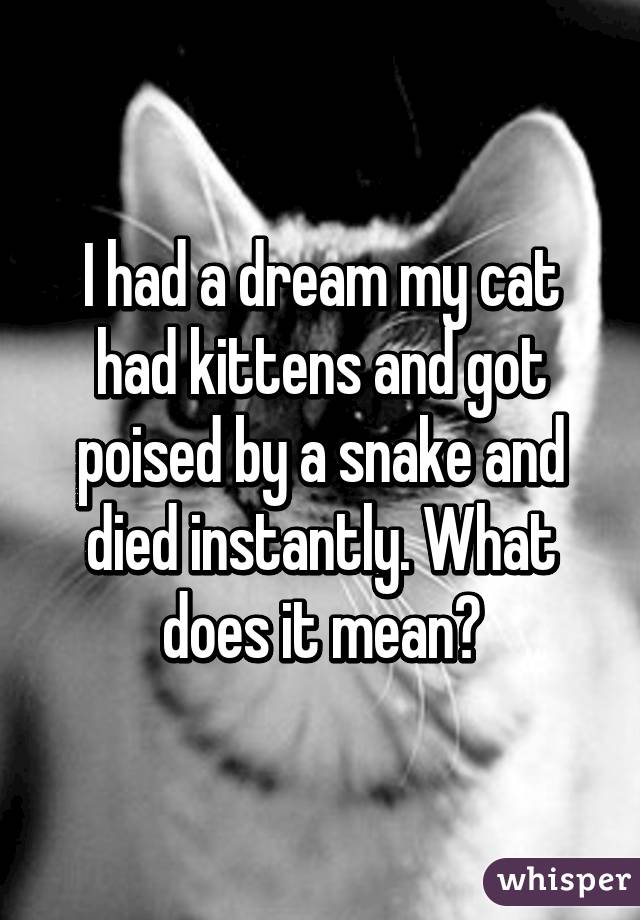 I had a dream my cat had kittens and got poised by a snake and died instantly. What does it mean?