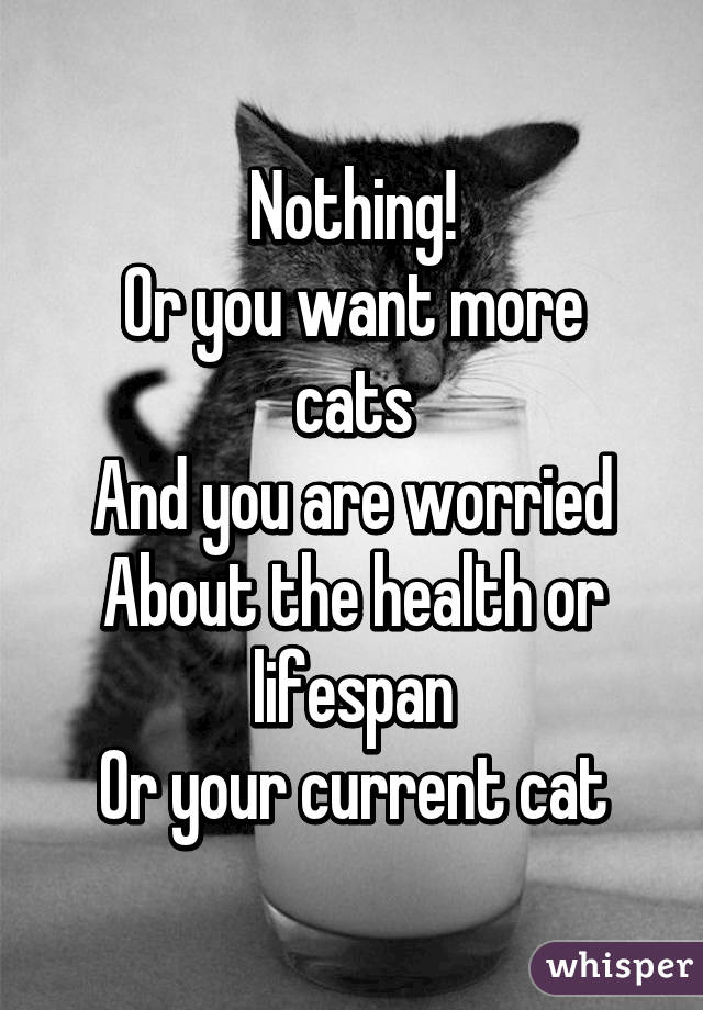 Nothing!
Or you want more cats
And you are worried
About the health or lifespan
Or your current cat