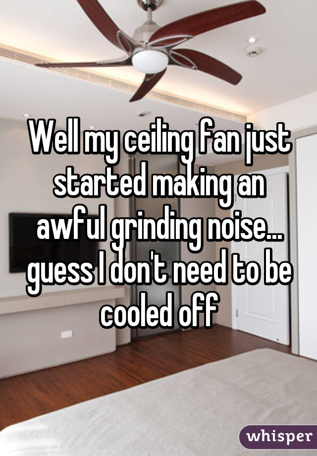 Well My Ceiling Fan Just Started Making An Awful Grinding