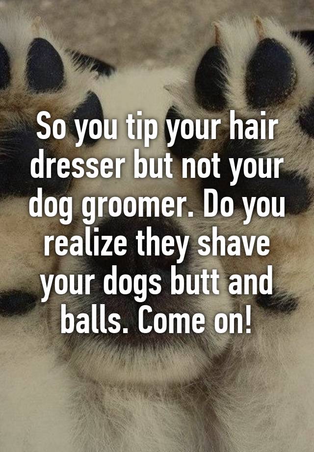 tip dog groomer