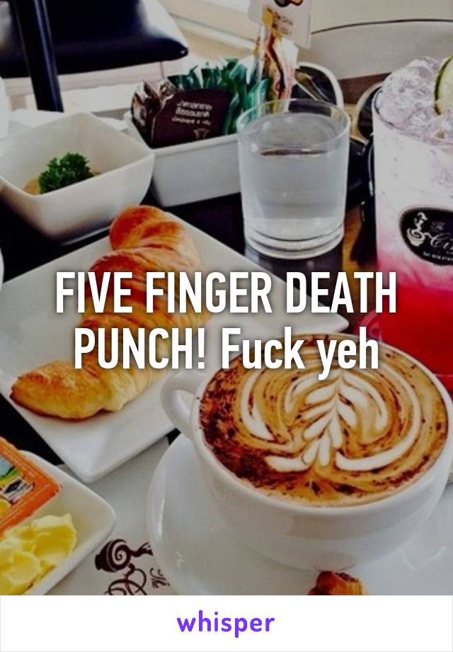 FIVE FINGER DEATH PUNCH! Fuck yeh