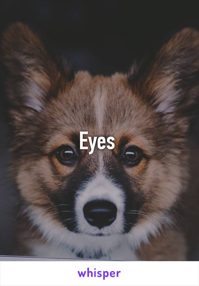 Eyes 
