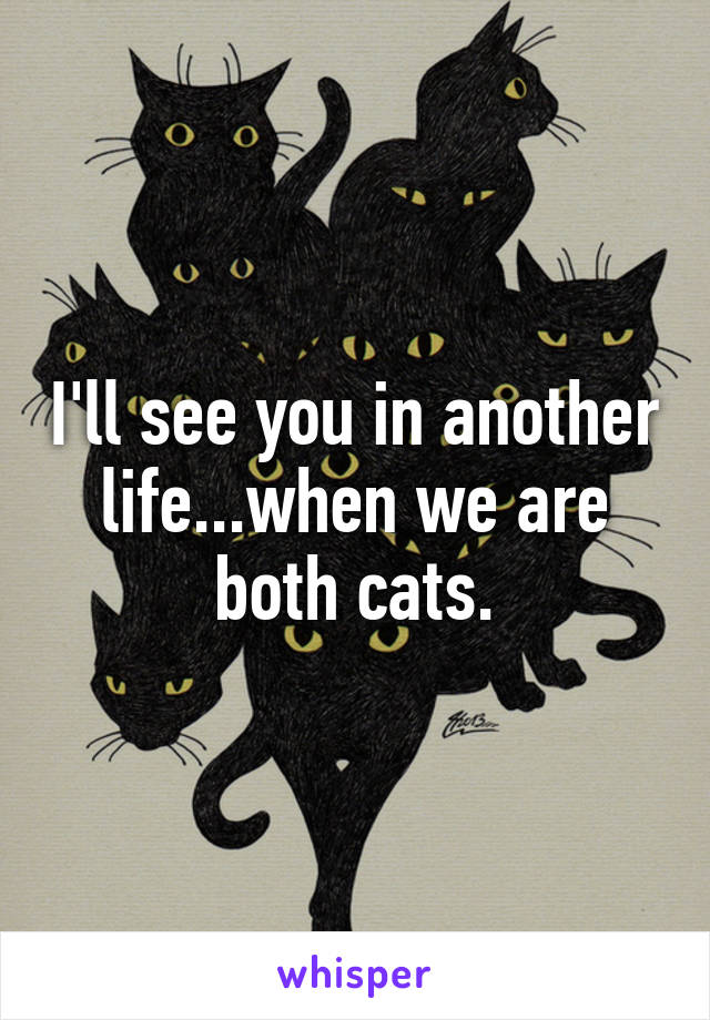 i-ll-see-you-in-another-life-when-we-are-both-cats