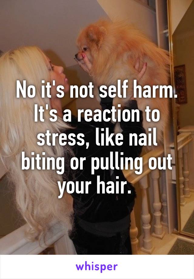 No it's not self harm. It's a reaction to stress, like nail biting or pulling out your hair. 