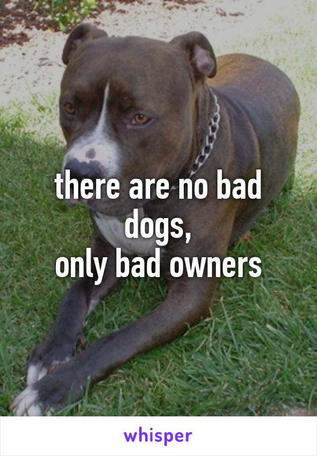 there are no bad dogs, only bad owners